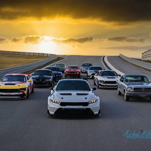  .......fanclub   'recent posts' 