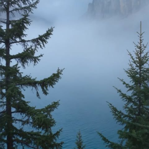  ......dreame   'recent posts' 