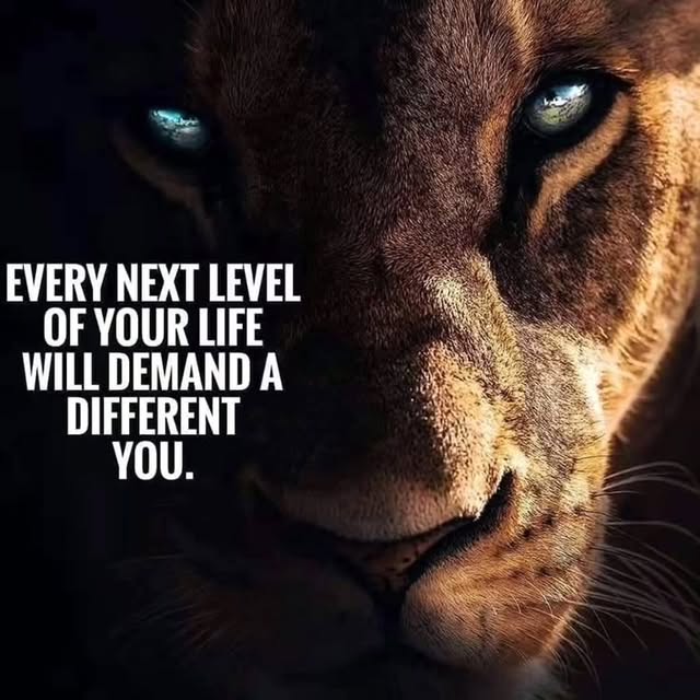  .....essity   'recent posts' 