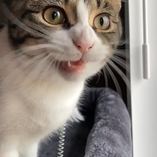  ......kekkek   'recent posts' 