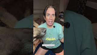  ..........escosolido  'recent videos' 