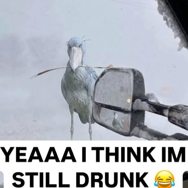  ..........rdoftheday   'recent posts' 