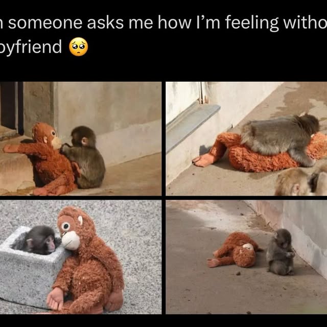  ........shipkink   'recent posts' 