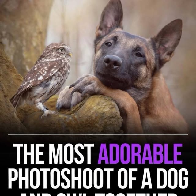  ......fervor   'recent posts' 