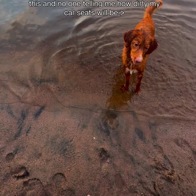  ......atoller   'recent posts' 