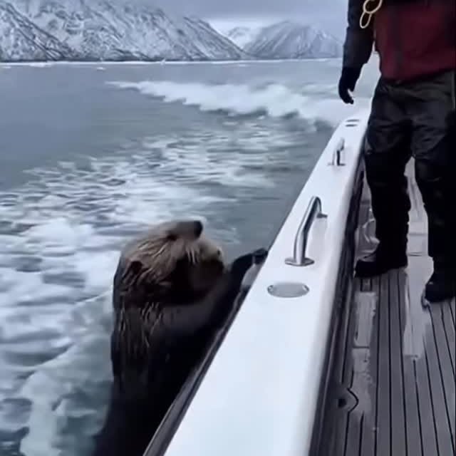  .......plorers   'recent posts' 