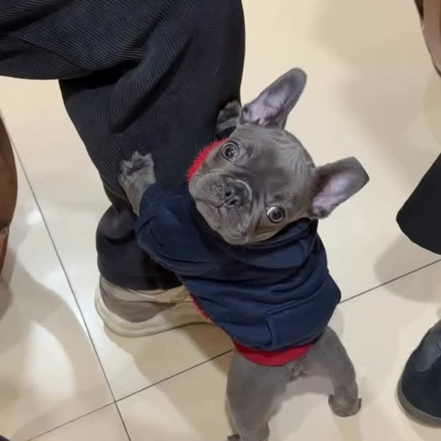  ..........ldogs_only   'recent posts' 