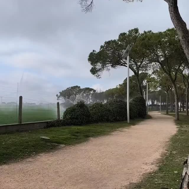  ........viajeros   'recent posts' 