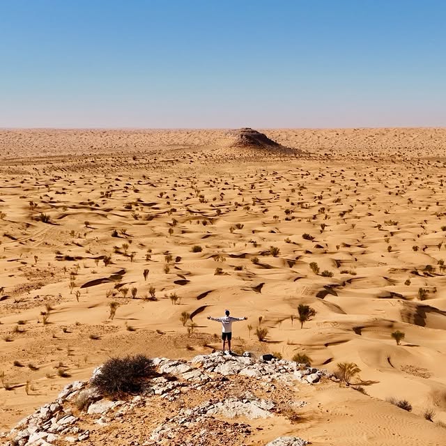  ........reisen   'recent posts' 