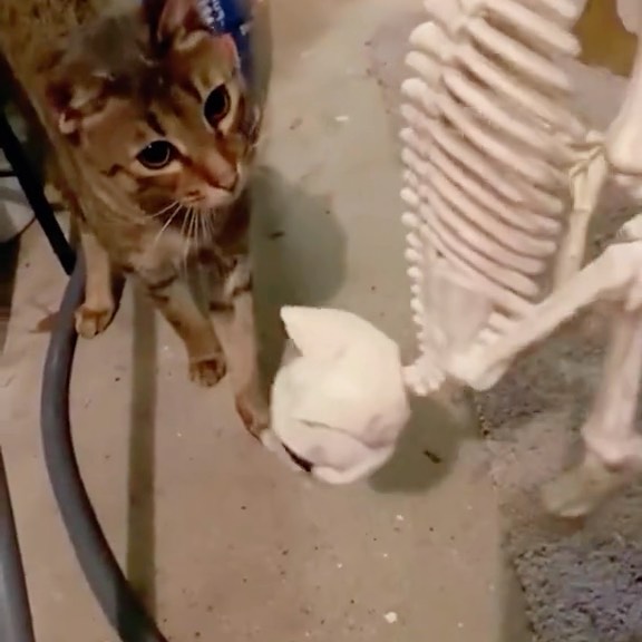  .....fweek   'recent posts' 