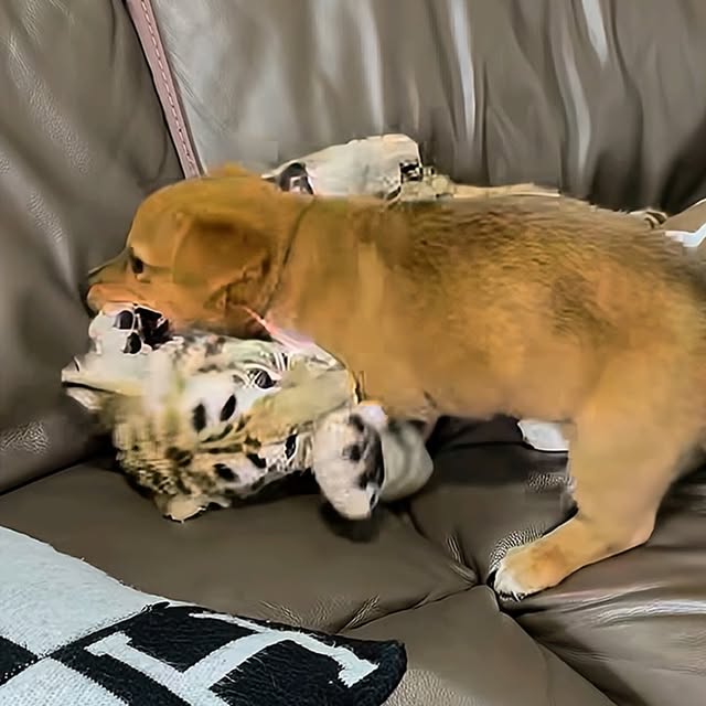  ........malsgram   'recent posts' 