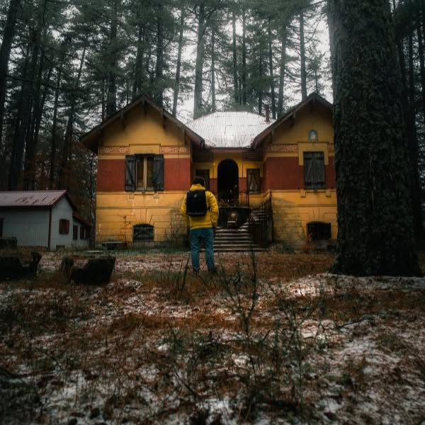  ....ylux   'recent posts' 