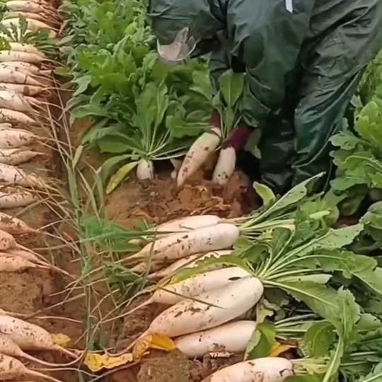  ...earn   'recent posts' 