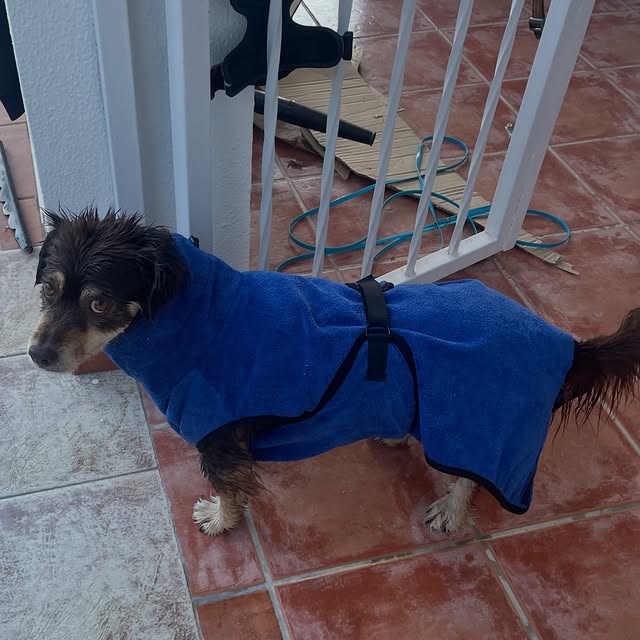  .....og2020   'recent posts' 