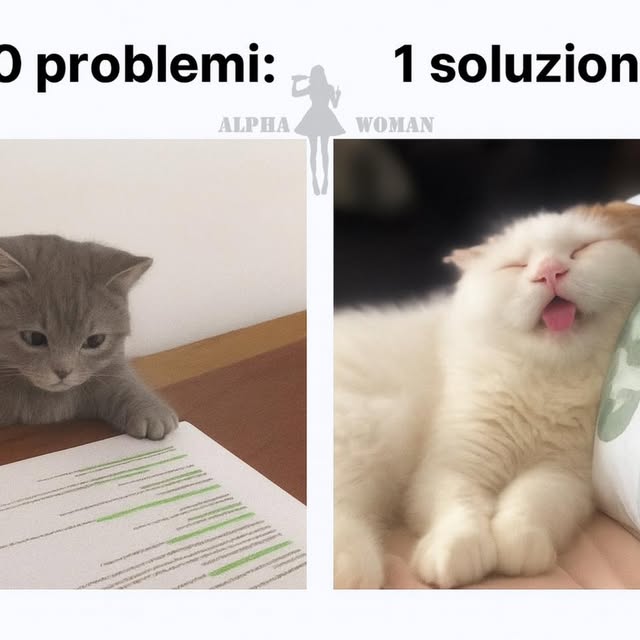  ..........n_official   'recent posts' 