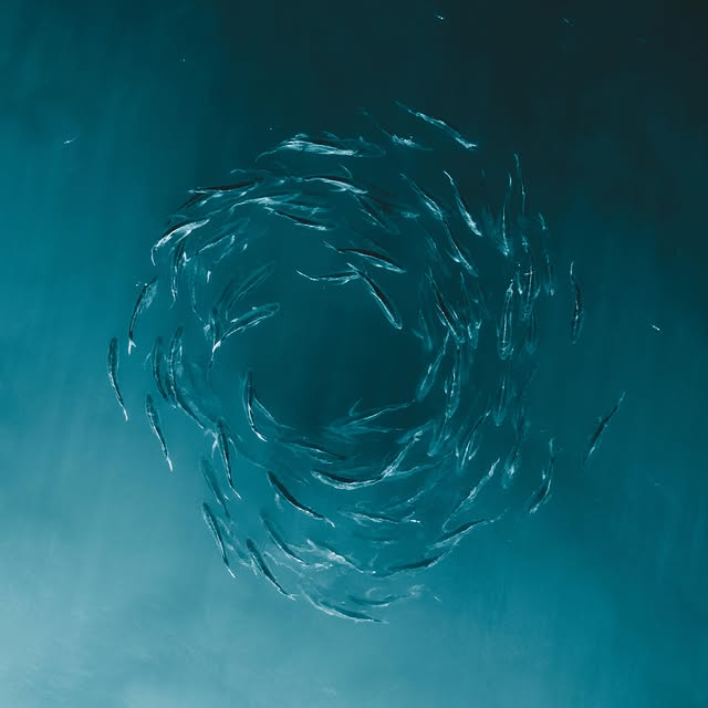  .....lorida   'recent posts' 