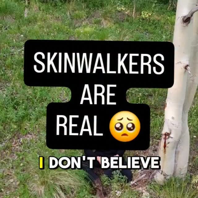  .......vnation   'recent posts' 