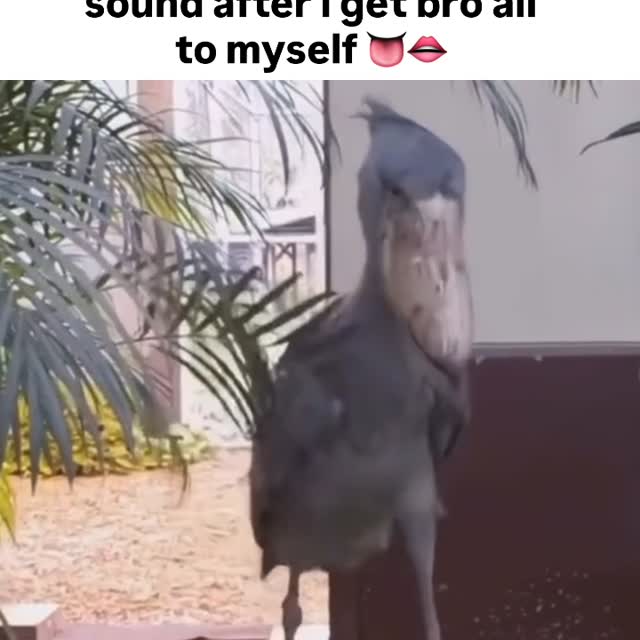  ..........rdoftheday   'recent posts' 