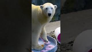  .....rthTv  'recent videos' 