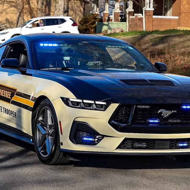  .......fanclub   'recent posts' 