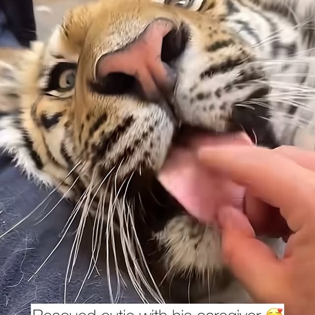  ........malsgram   'recent posts' 