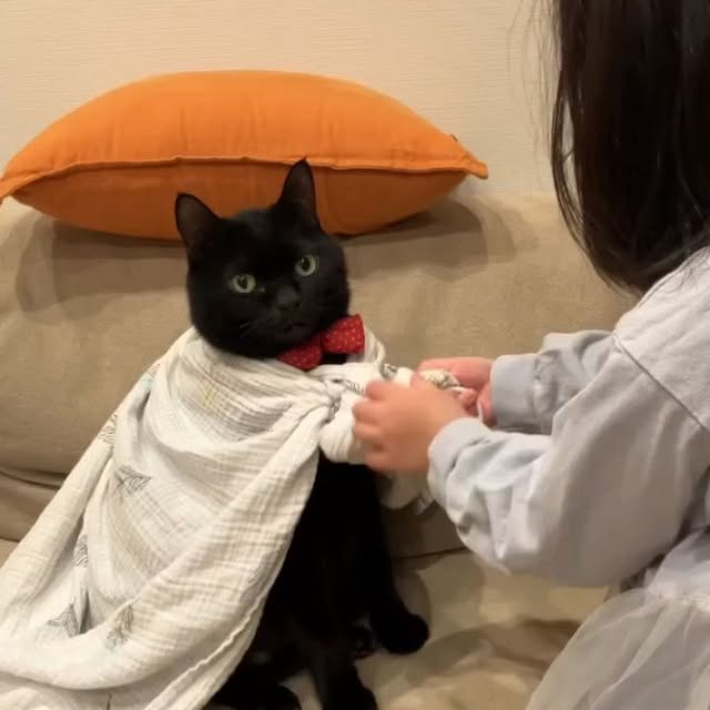  .......ats_club   'recent posts' 