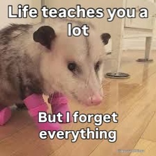  ......mthings   'recent posts' 