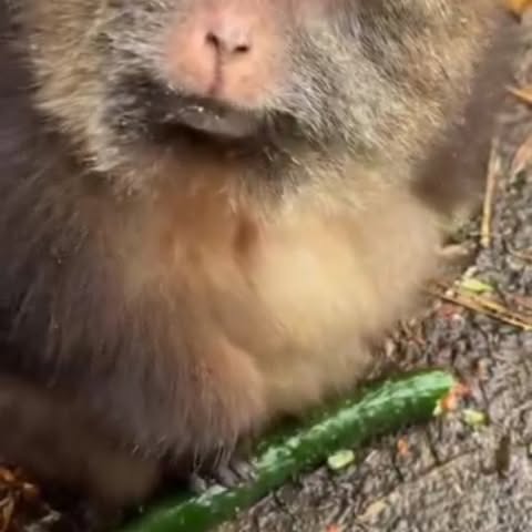  .......ureworld   'recent posts' 