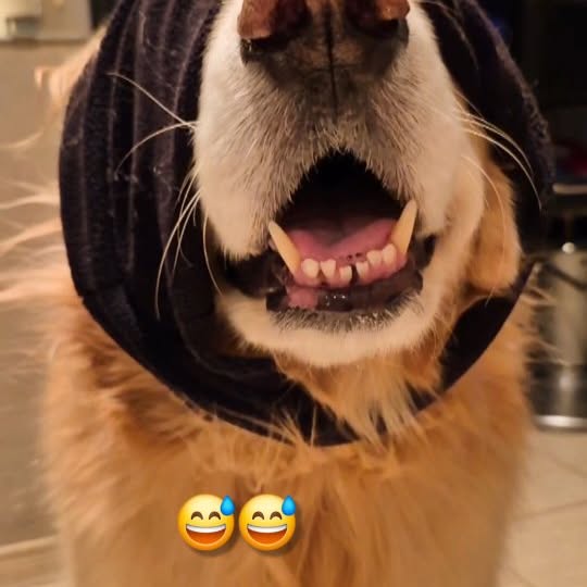  ..ps   'recent posts' 