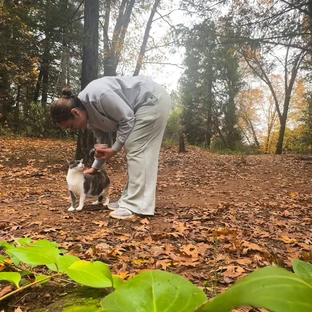  ......_diana   'recent posts' 