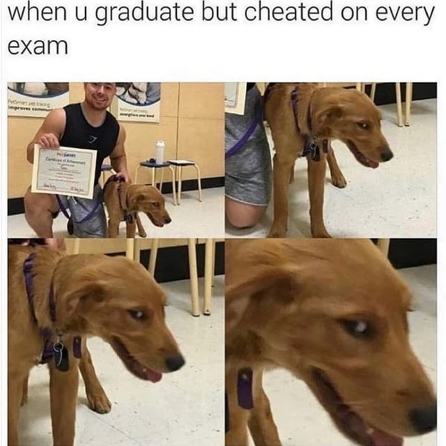  .......ndrulzz   'recent posts' 