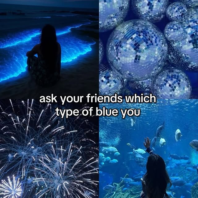  ......rlrise   'recent posts' 