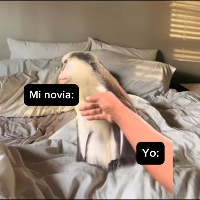  ....jases   'recent posts' 