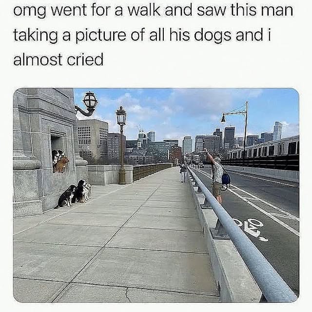  ......orable   'recent posts' 