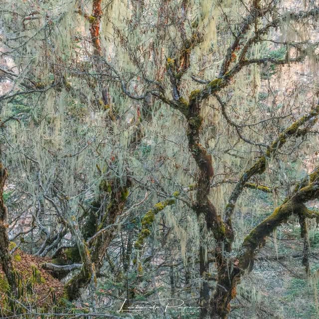  .......o.papera   'recent posts' 