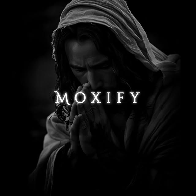  ....fy.ai   'recent posts' 