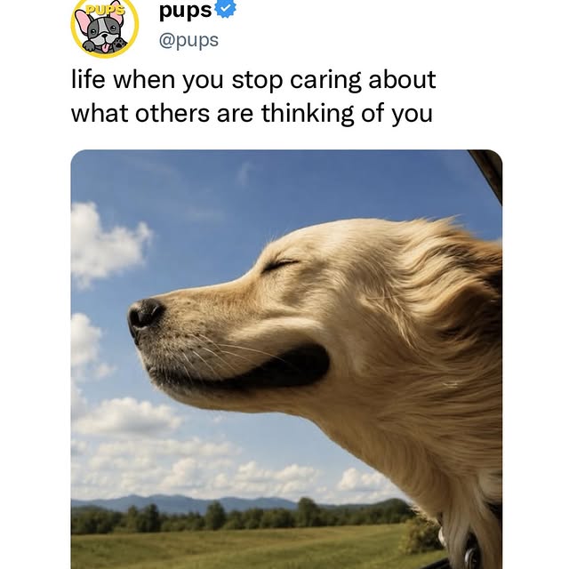  ..ps   'recent posts' 