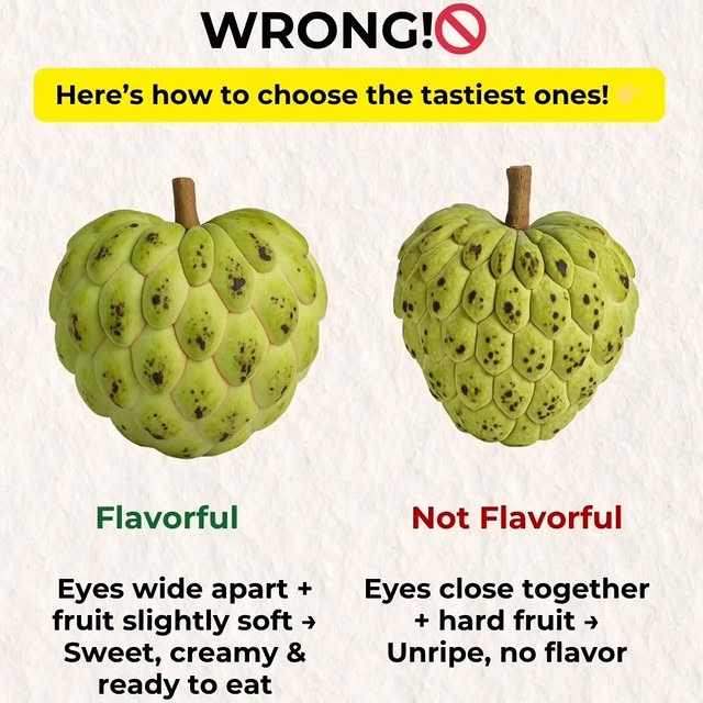  ......asedly   'recent posts' 