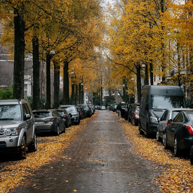  .......amshots   'recent posts' 