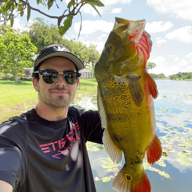  ........sfishing   'recent posts' 