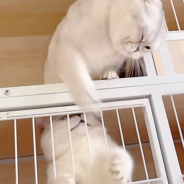  ...sjpg   'recent posts' 