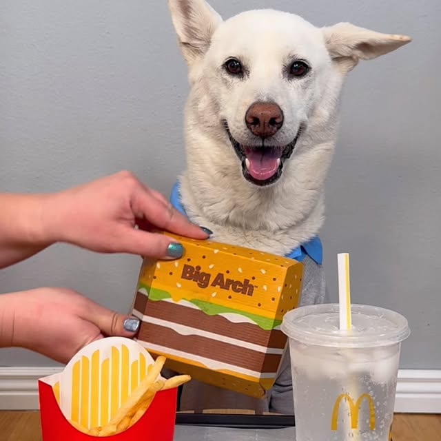  .....eteers   'recent posts' 