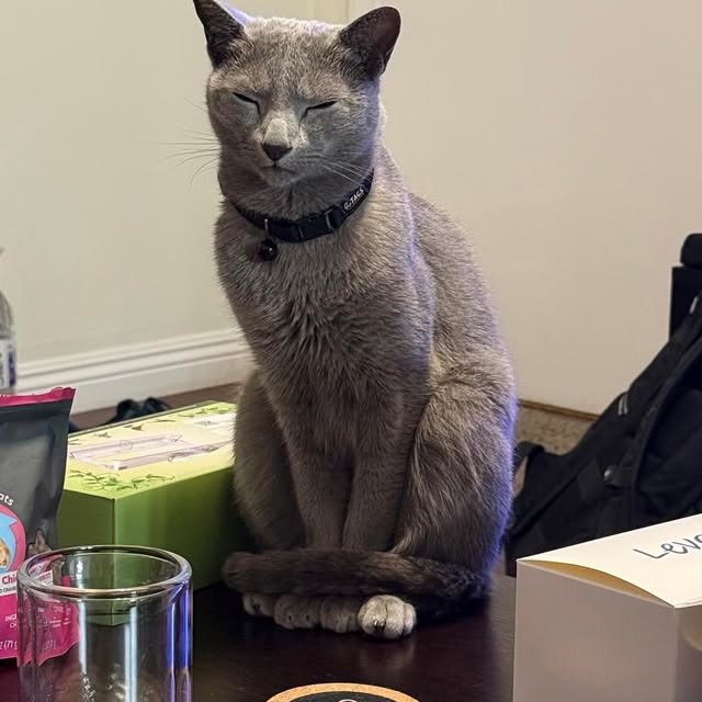  ......n_boris   'recent posts' 