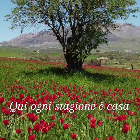  ......liano_   'recent posts' 