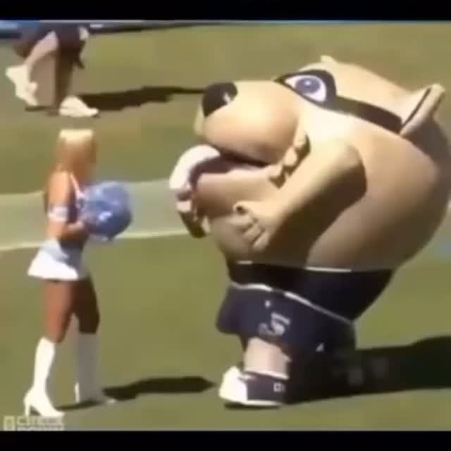  .......alvines   'recent posts' 