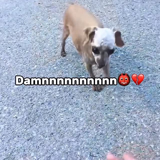  ............vening_kisser   'recent posts' 