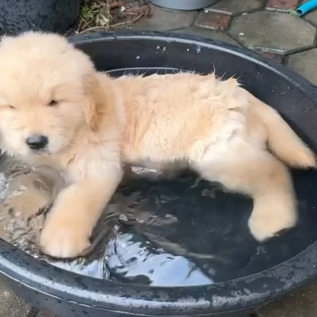  ..........ieverworldo   'recent posts' 