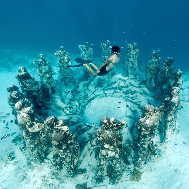  ......lacarte   'recent posts' 