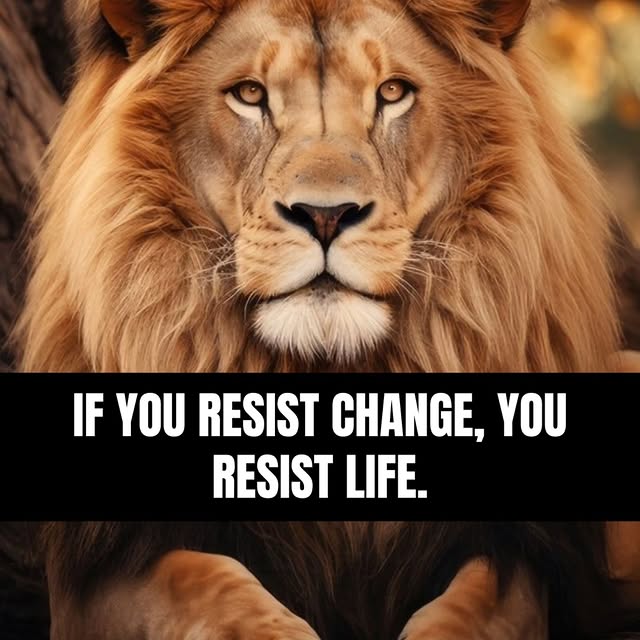  .....essity   'recent posts' 