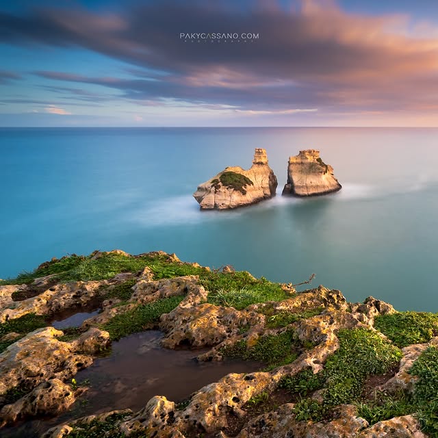  ......assano   'recent posts' 